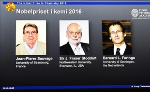Le prix Nobel de chimie a été attribué mercredi aux chercheurs français Jean-Pierre Sauvage, britannique J. Fraser Stoddart et néerlandais Bernard L. Feringa.