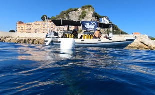 L'association Depth's Guards a mobilisé deux bateaux et douze plongeurs ce samedi au pied de la colline du Château de Nice