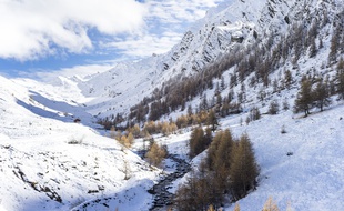 Les premiers flocons de neige sont tombés dans les Alpes et les Hautes-Alpes Credit:Stephane Cande/SIPA