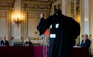 Une audience devant le Conseil constitutionnel le 12 mai 2020 (Illustration).