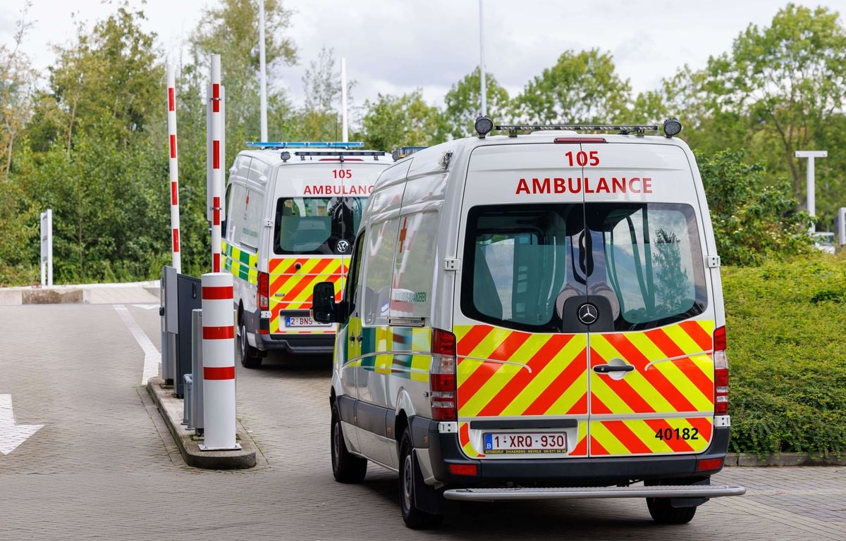 La bactérie E. coli a-t-elle tué quatre personnes en Belgique ? Une enquête ouverte