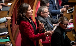 Sandrine Mörch, députée de Haute-Garonne, a affirmé jeudi être contaminée par le coronavirus.