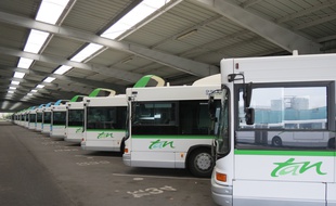 Des bus de la Tan au dépô
