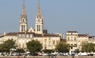Arbres sur les quais de Bordeaux