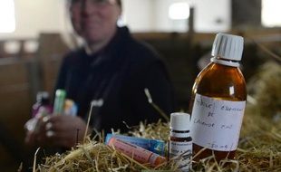 Les consommateurs, comme le gouvernement, plaident pour une baisse de l'usage des antibiotiques sur les animaux d'élevage, mais la réglementation dans l'utilisation de méthodes alternatives s'est paradoxalement musclée.
