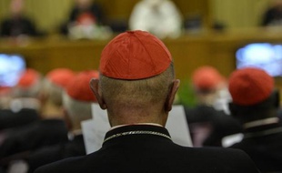 Des cardinaux suivent le discours du pape François lors de l'ouverture du consistoire sur la réforme de la Curie, le 12 février 2015 au Vatican