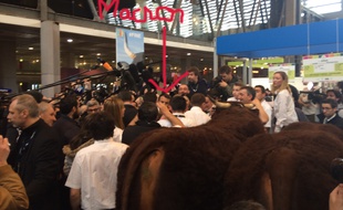 En plissant les yeux, vous pouvez apercevoir Emmanuel Macron au-dessus de la croupe de la vache.