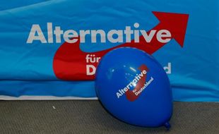 Le parti populiste allemand AfD.
