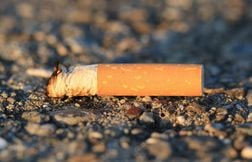 Un filtre révolutionnaire à base de cheveux conçu dans la Manche
