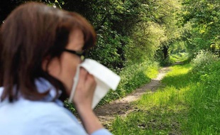 Une femme victime d'allergie le 18 mai 2013 à Godewaersvelde dans le nord de la France