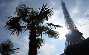 Photographie le 14 mai 2014 de la Tour Eiffel sous le soleil du printemps parisien