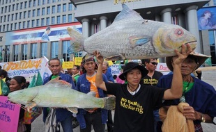 Le Laos a confirmé jeudi avoir entamé les travaux d'un barrage controversé sur le fleuve Mékong, affirmant que toutes les objections au projet par ses voisins avaient fini par être levées après un an et demi de suspension du projet.