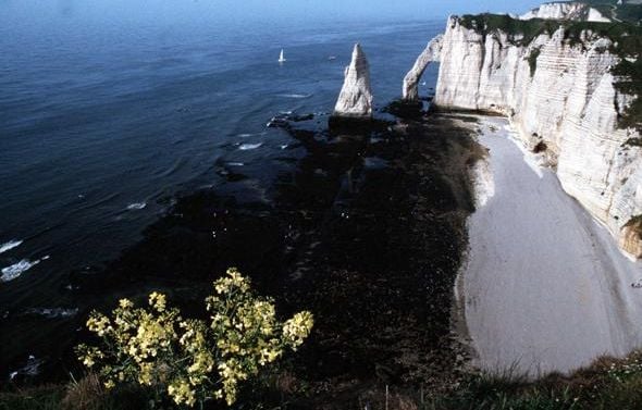 Seine-Maritime : Un pan de falaise s'effondre près d'Etretat