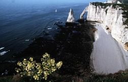 Un pan de falaise s’effondre près d’Etretat