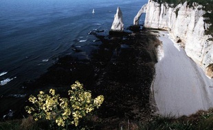 Les falaises d'Etretat.