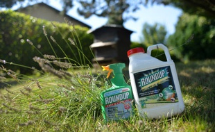 Le cas du Roundup a largement été médiatisé ces dernières années.