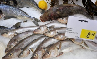 Poissons sur un étal dans un supermarché (Photo d'illustration)