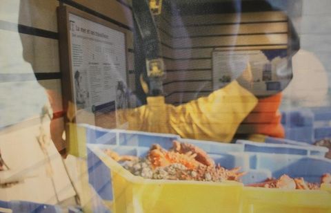 Côtes-d'Armor : Que faire cette semaine ? (du 13 octobre au 19 octobre 2025)
