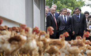 Dans ses mémoires, Obama dit que
Sarkozy bombe le torse comme un petit coq.