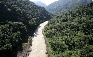 La forêt tropicale au Costa Rica.