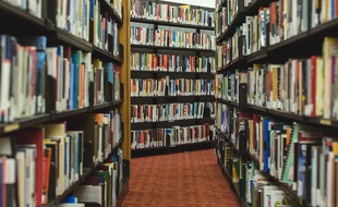 Le gouvernement turc a retiré près de 140.000 livres de ses bibliothèques, accusés de faire la promotion des opposants d'Erdogan.