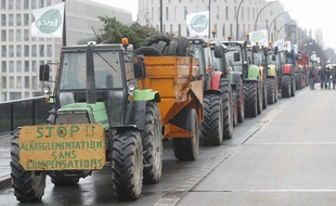 Manifestation d'agriculteurs, le 16 janvier 2013 à Nantes.