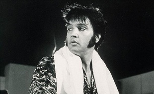 #4 Elvis Presley (chanteur, acteur)
55 millions de dollars
Décédé en 1977 d'une crise cardiaque, The King a cette année été détrôné du classement, malgré des partenariats lucratifs comme celui réalisé avec le fabriquant de jouets Mattel.