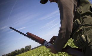 Un chasseur avec son fusil (illustration).