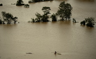 A man paddles a makeshift raft made from banana trunks over a flooded rice field at Barangay Camanutan, Isabela province, north of Manila on October 19, 2015, a day after typhoon Koppu hit Aurora province. Residents of flooded farming villages in the Philippines were trapped on their rooftops October 19 and animals floated down fast-rising rivers, as deadly Typhoon Koppu dumped more intense rain. AFP PHOTO
