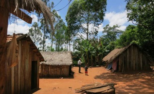 Un enfant et son grand-père dans le village guarani de Potrero Guaçu dans le Mato Grosso au Brésil, le 29 octobre 2015