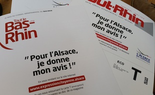 Une grande consultation publique organisée par les présidents des Conseils départementaux du Haut-Rhin et du Bas-Rhin s'est tenue au printemps en Alsace.