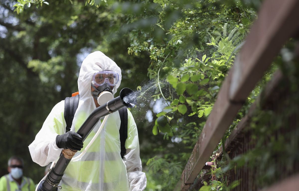 Chikungunya : C'est quoi ce SMS d'alerte reçu ce matin par les habitants d'Antibes ?