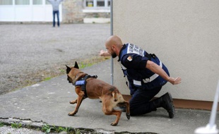 Un gendarme et son chien lors d'un exercice (Illustration).