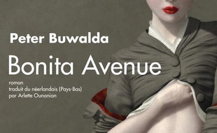 Bonita Avenue