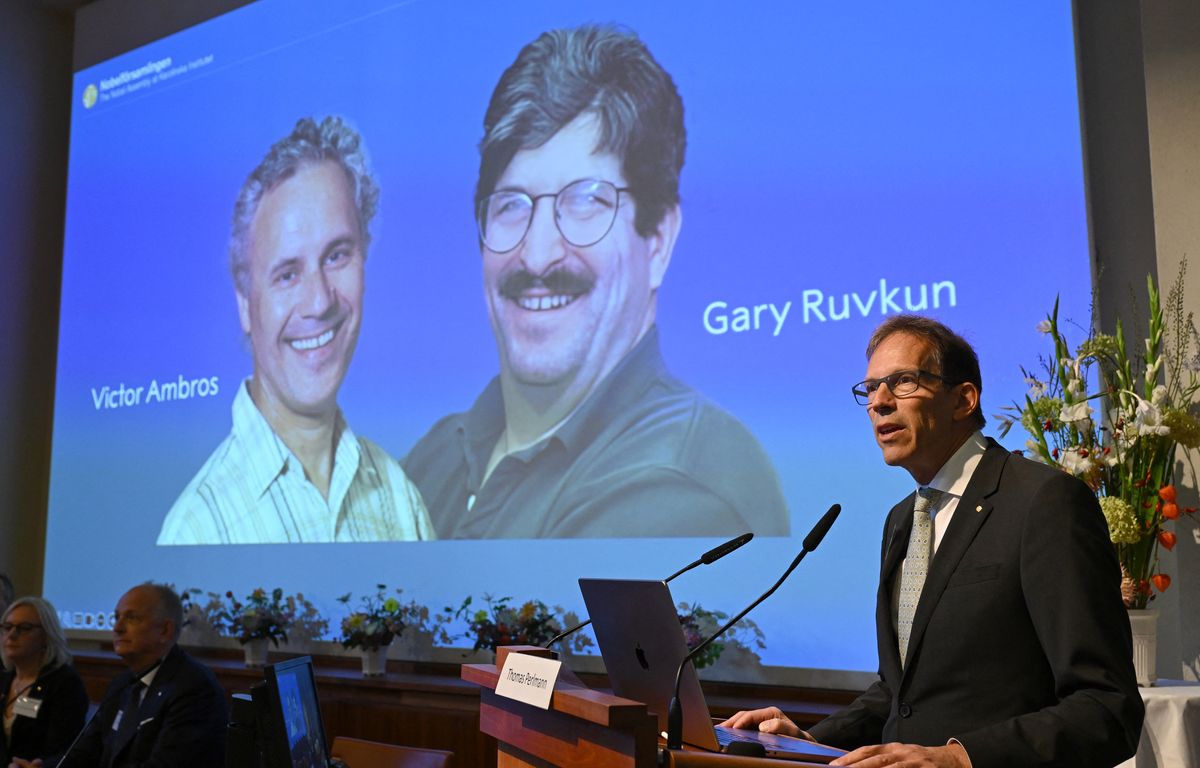 Prix Nobel : Les Américains Victor Ambros et Gary Ruvkun, lauréats en médecine