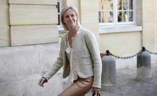 La secrétaire d'Etat chargée des personnes handicapées, Ségolène Neuville, le 10 avril 2014 à Paris