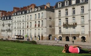 La belle vie. Illustration