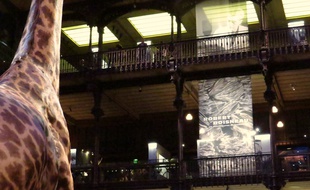 Exposition Doisneau à la Grande galerie de l'évolution, octobre 2015.
