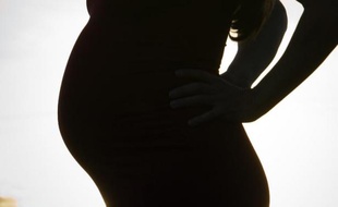Une Arménienne enceinte de sept mois et sa famille pourraient être expulsées d'un foyer d'accueil à Senlis (Oise) après avoir été déboutées d'une demande d'asile, ce qui suscite l'inquiétude d'un comité de soutien, a-t-on appris mercredi de sources concordantes.