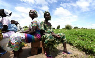 Des fermiers de Daga Birame, dans le centre du Sénégal, le 1er octobre 2015