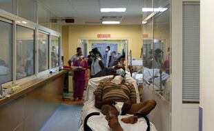 La Guadeloupe est en plein pic épidémique de Covid-19 et les hôpitaux du département ne parviennent pas à suivre le rythme.