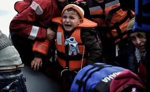 Un Français sur deux considère également que les migrations pour "sécurité économique et sociale" sont plus "crédibles" que "la recherche de refuge".