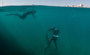 Des plongeurs nettoient le port de Rafina, en Grèce