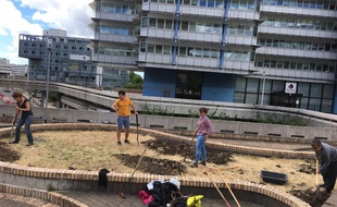 Un projet d'agriculture urbaine sur les terrasses suspendues de Mériadeck.
