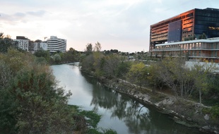Montpellier.