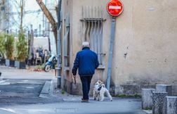 Vous êtes à Barcelone avec votre chien ? Faites attention car…