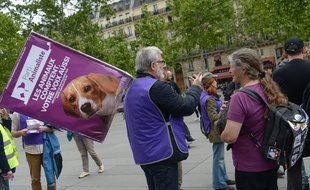 Des militants du Parti animaliste à Paris, le 18 mai, en amont des élections européennes.