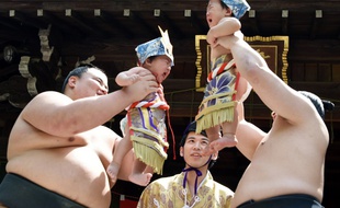 Bébés sumo en pleurs, au Japon.
