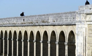 Un homme de 42 ans, mécontent des conditions de garde d'enfant fixées dans le cadre de son divorce, s'est réfugié mercredi pendant 2H30 à 18 m de hauteur sur un monument de Montpellier, demandant à être reçu par le juge aux affaires familiales, a-t-on appris auprès de la police.