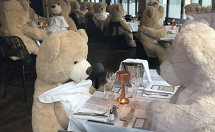 Privée de clients, la brasserie La Parisienne à Rennes accueille des ours en peluche géants à sa table.
